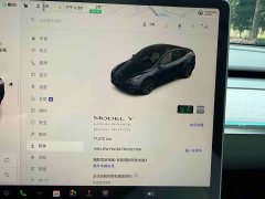 Tesla Model Y Long Range All-Wheel Drive - ფოტო 18