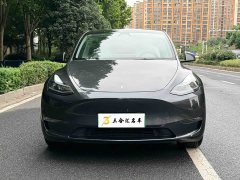 Tesla Model Y Long Range All-Wheel Drive - ფოტო 2