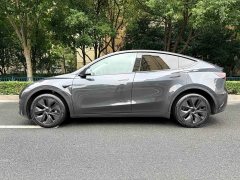 Tesla Model Y Long Range All-Wheel Drive - ფოტო 5