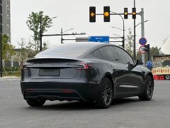Tesla Model 3 Rear-Wheel Drive - ფოტო 5