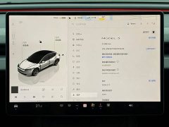 Tesla Model 3 Rear-Wheel Drive - ფოტო 9