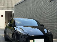 Tesla Model Y Long Range All-Wheel Drive - ფოტო 1