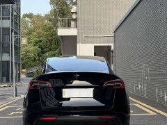 Tesla Model Y Long Range All-Wheel Drive - ფოტო 11