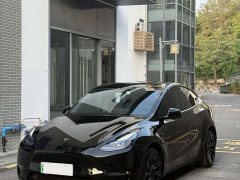 Tesla Model Y Long Range All-Wheel Drive - ფოტო 12