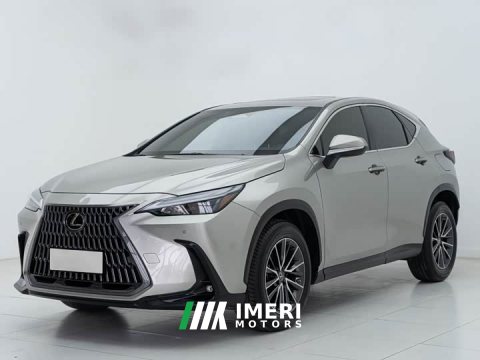 2022 Lexus NX 260 FWD Joyful Edition - ავტომობილი ჩინეთიდან
