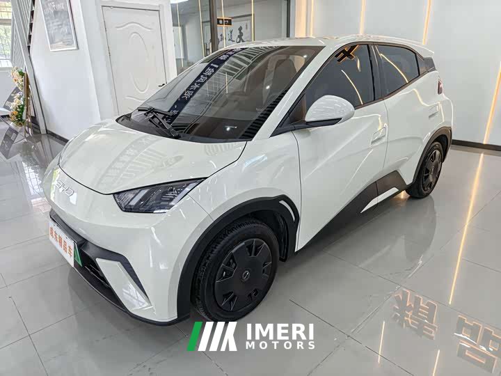BYD Seagull Glory Edition 305km Vitality Version - ავტომობილი ჩინეთიდან