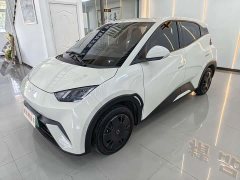 BYD Seagull Glory Edition 305km Vitality Version - ფოტო 1