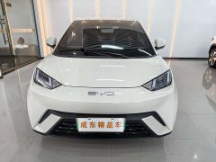 BYD Seagull Glory Edition 305km Vitality Version - ფოტო 2