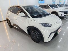 BYD Seagull Glory Edition 305km Vitality Version - ფოტო 3
