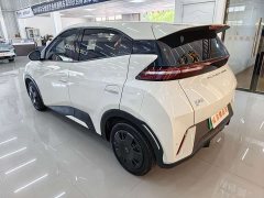 BYD Seagull Glory Edition 305km Vitality Version - ფოტო 4