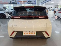 BYD Seagull Glory Edition 305km Vitality Version - ფოტო 5