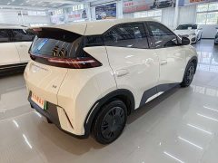 BYD Seagull Glory Edition 305km Vitality Version - ფოტო 6