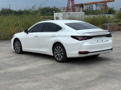 Lexus ES 300h Premium Edition - ფოტო 14