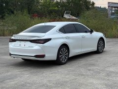 Lexus ES 300h Premium Edition - ფოტო 16