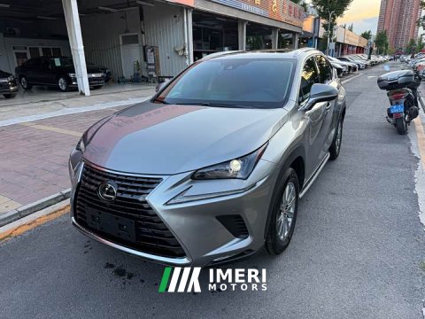 2021 Lexus NX 2020 200 AWD Sharp Luxury Edition National VI - ავტომობილი ჩინეთიდან