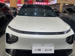 XPeng G9 702 Pro - ფოტო 1