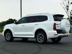 Tank 500 3.0T Sport Landscape 7-Seater - ფოტო 8