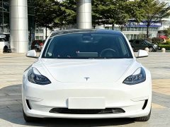 Tesla Model 3 Rear-Wheel Drive - ფოტო 1