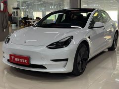 Tesla Model 3 Standard Range RWD Upgrade - ფოტო 1