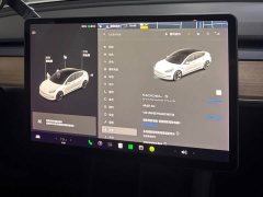 Tesla Model 3 Standard Range RWD Upgrade - ფოტო 14