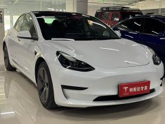 Tesla Model 3 Standard Range RWD Upgrade - ფოტო 3