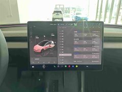 Tesla Model 3 2023 Long Range All-Wheel Drive - ფოტო 15
