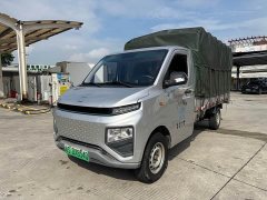 BYD Remote Star Enjoy F1E Stake Bed EVWay 41.86kWh - фото 14