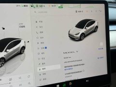 Tesla Model Y 2022 Facelift Rear-Wheel Drive - ფოტო 11