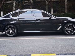 BMW 5 Series 530Li Premier Luxury Package - ფოტო 4