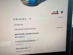 Tesla Model 3 2022 Rear-Wheel Drive - ფოტო 12