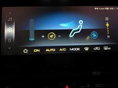 Wuling Kaje 2020 1.5T CVT Premier - ფოტო 19