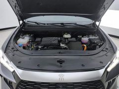 BYD Song Pro New Energy DM-i 71KM Glory Edition Pilot - ფოტო 10