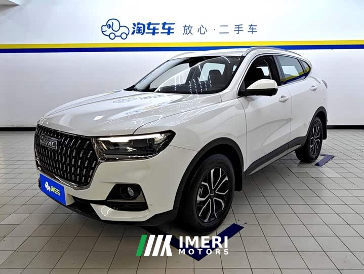 Haval H6 2023 National Trend Edition 1.5T Automatic Urban Version - ავტომობილი ჩინეთიდან