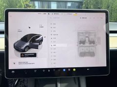 Tesla Model Y Rear-Wheel Drive - ფოტო 15