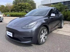 Tesla Model Y Rear-Wheel Drive - ფოტო 4