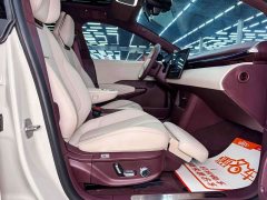 Zeekr Geely Zeekr X Rear-Wheel Drive YOU Edition 4-Seater - ფოტო 13