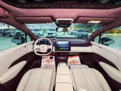 Zeekr Geely Zeekr X Rear-Wheel Drive YOU Edition 4-Seater - ფოტო 14