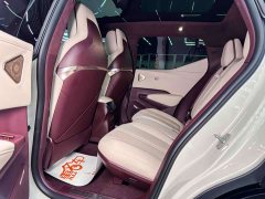 Zeekr Geely Zeekr X Rear-Wheel Drive YOU Edition 4-Seater - ფოტო 20