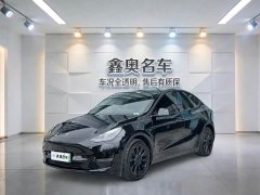 Tesla Model Y Standard Range RWD - ფოტო 1