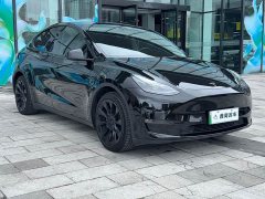 Tesla Model Y Standard Range RWD - ფოტო 3