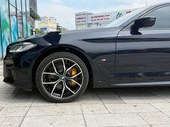 BMW 5 Series Facelift 530Li Luxury M Sport Package - ფოტო 9