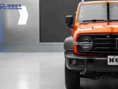 Tank 300 2.0T Gasoline Conqueror - ფოტო 8