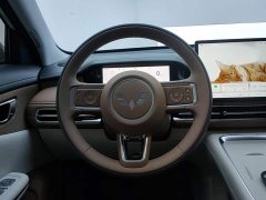 Wuling Bingguo S 325km Deluxe Edition - ფოტო 15