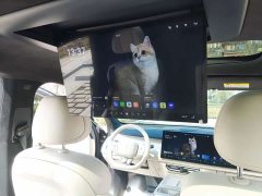 Deepal Deep Blue S09 Four-Wheel Drive Ultra Premium Edition - ფოტო 11