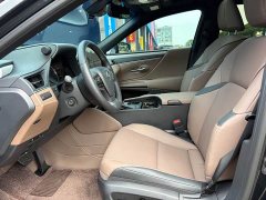 Lexus ES 2025 200 Premium Edition - ფოტო 11