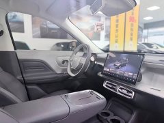 Leapmotor B10 510 Pleasure Edition - ფოტო 13