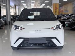 BYD Seagull Freedom Edition - ფოტო 1
