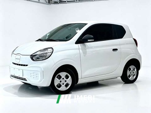 2021 SAIC Corey Wei CLEVER 302km Excellence Edition - ავტომობილი ჩინეთიდან