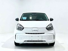 SAIC Corey Wei CLEVER 302km Excellence Edition - ფოტო 2