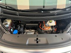 Denza BYD Denza D9 2022 DM-i 970 AWD Premium Edition - ფოტო 15